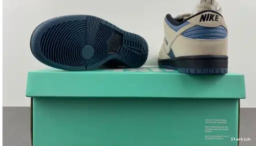 Thunderstorm Light Dunk Low Cream SB Nike BQ6817-200 0512